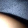 shelby_1344
