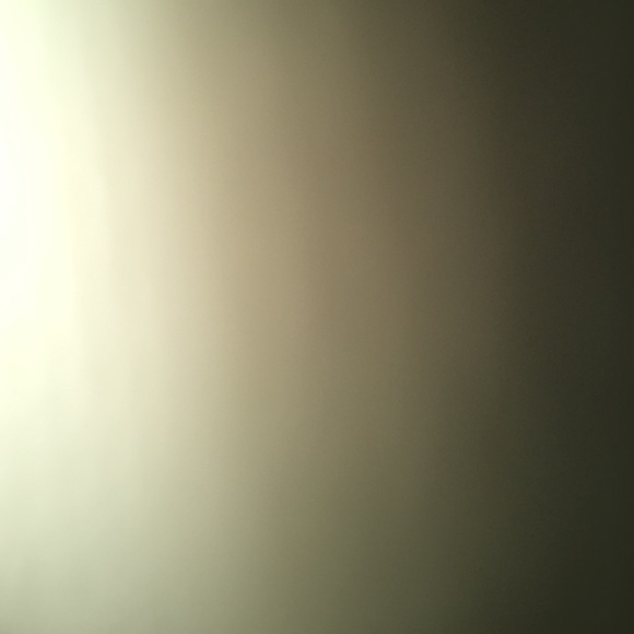 allydar12