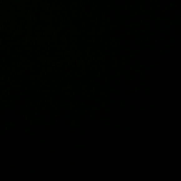 amberadams08
