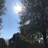 ivon_67