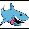 shark_b8t