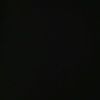 larich1210