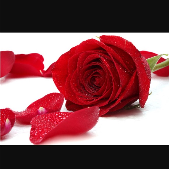 anud81