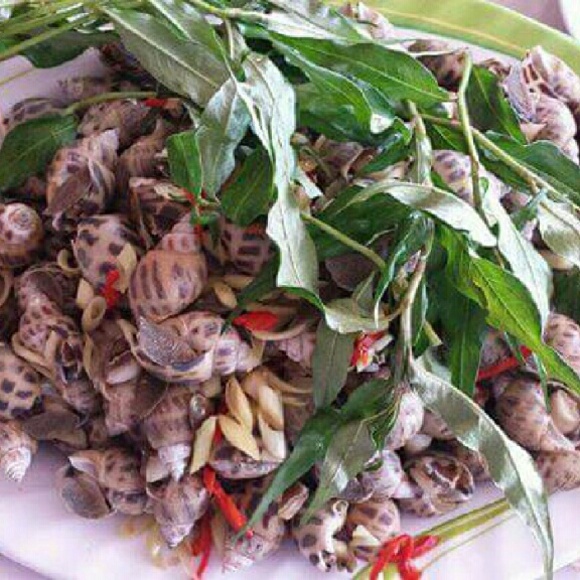 khanh2016
