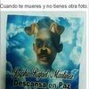 richyx