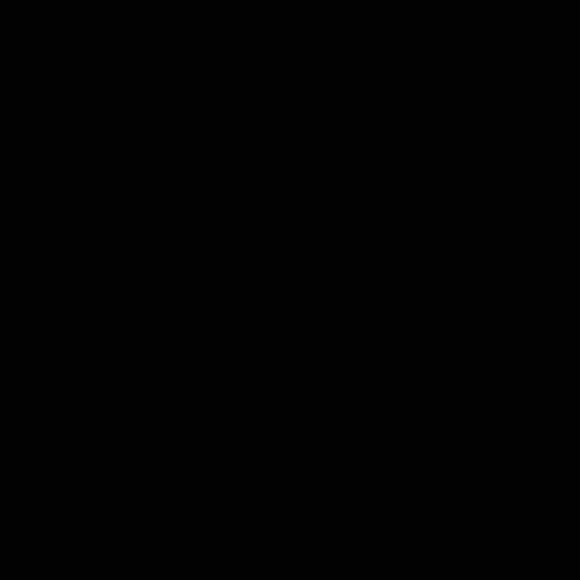 rene65981