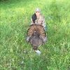 davidwarren1152