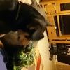 parkerlove14