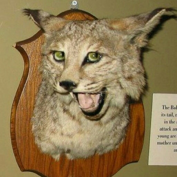 sambotage