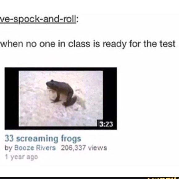 33screamingfrog