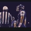 cmaranville8