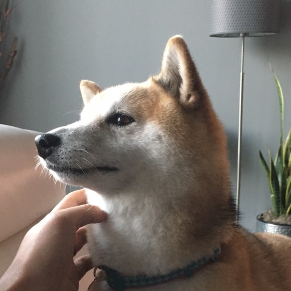 benjimonlee