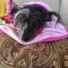 amy0913