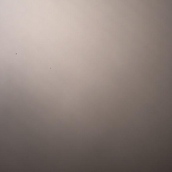 jennir64
