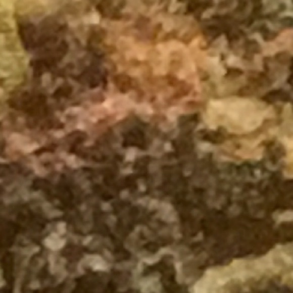 spencila