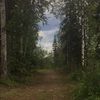 saamkiim