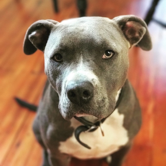 monkeygurl918