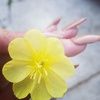 ember_7