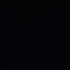 sharkey_24
