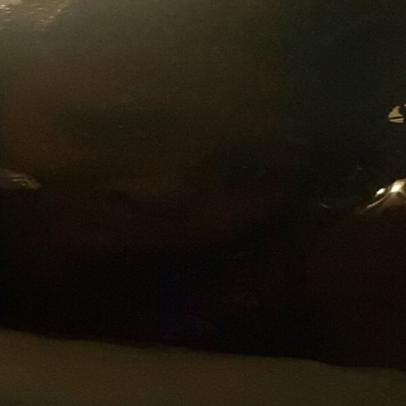 neek_monty
