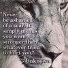 andrearow08_