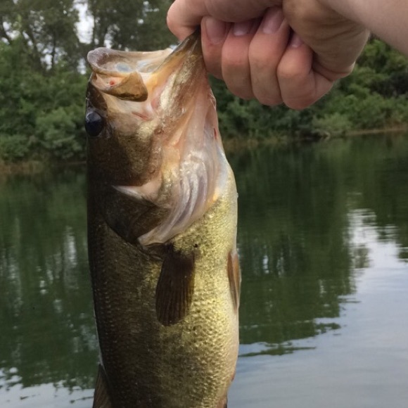 clayton14koch