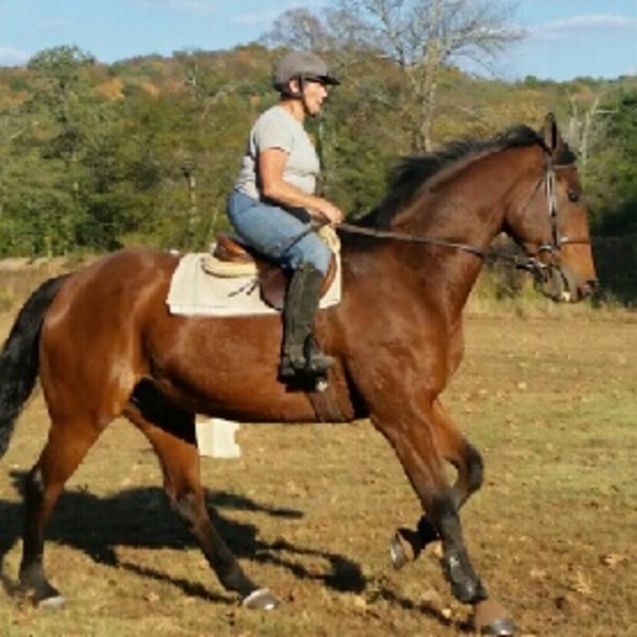 saddlebag
