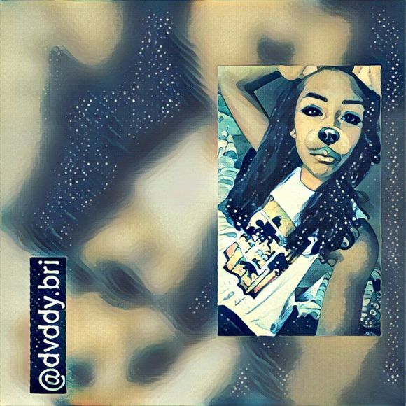 dvddy_bri