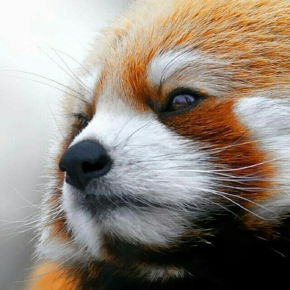 internetbox
