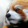 internetbox