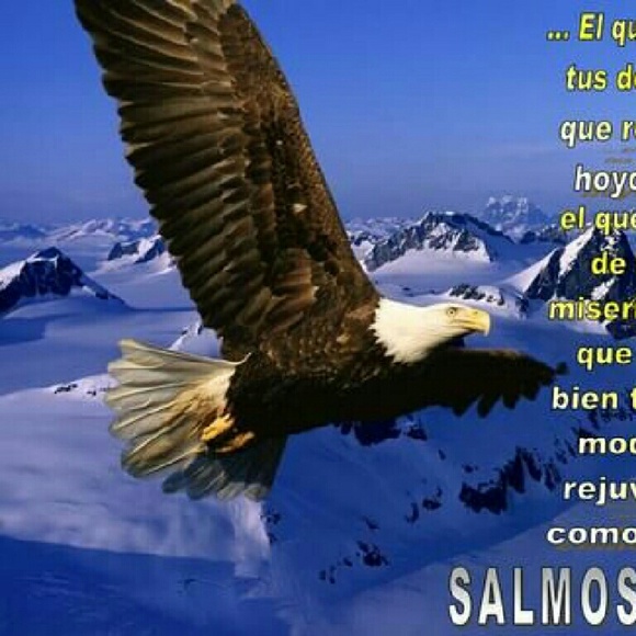 dulces77i