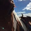 mypixie123