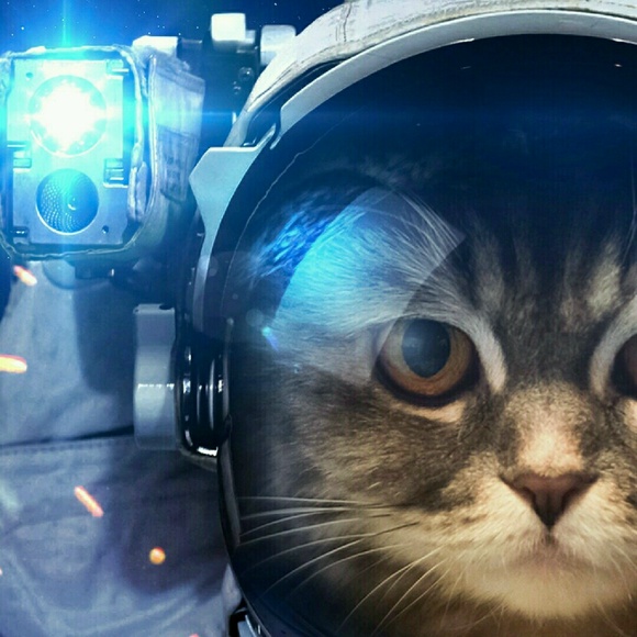 katbrwn1