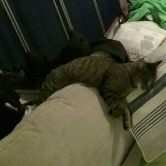 tabdeet