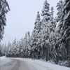kroshkasveta