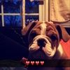 katelyn_2004