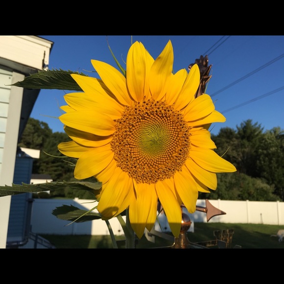 rkmh665