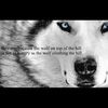 omar_5853