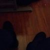 roody509