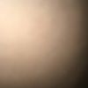poolebailey125