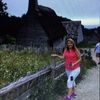 lorichevy