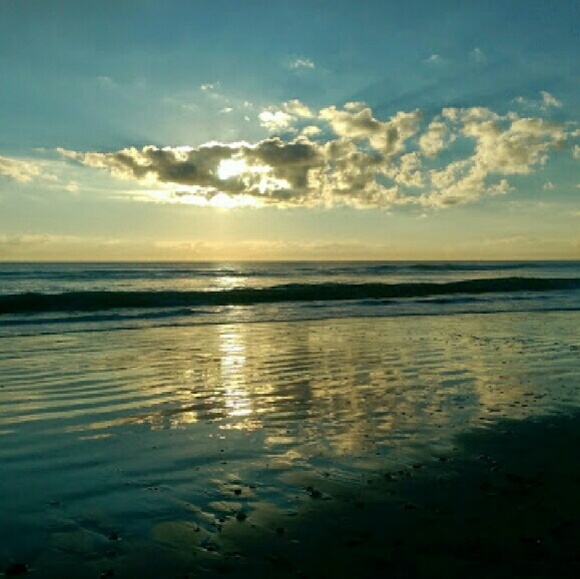mspcardona