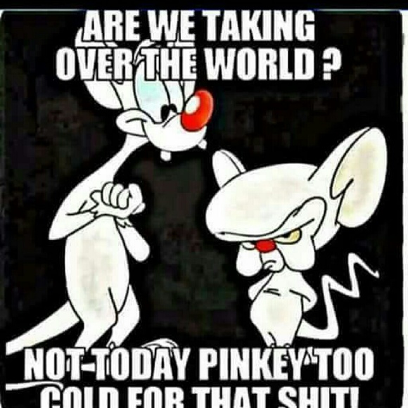 shryockc