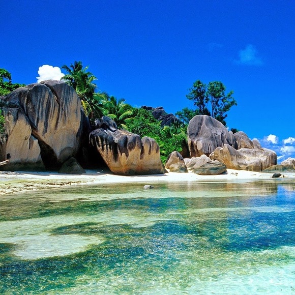 cnee50154254