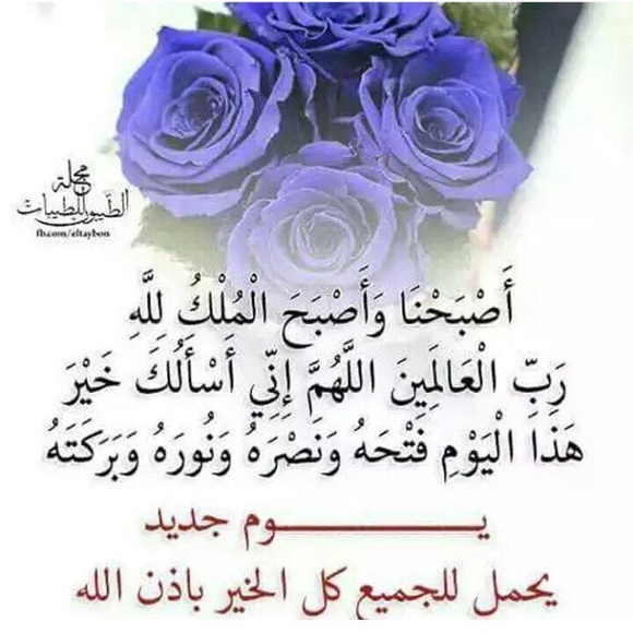 kounouz