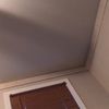 nateg2229