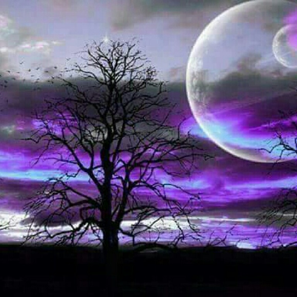 purpleskip