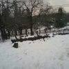ribarra66