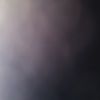 mvmvlp