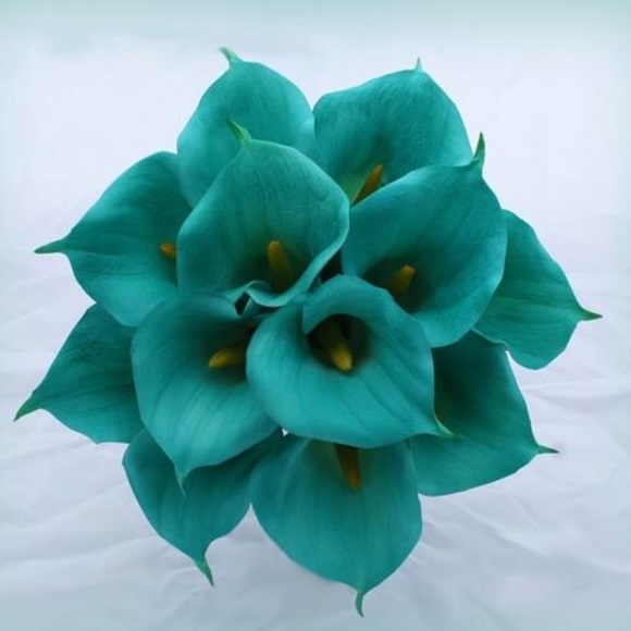 flowers0